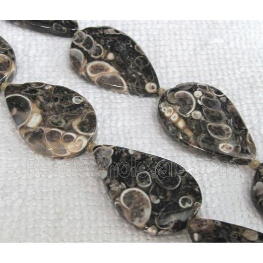 natural Ammonite Fossil beads, teardrop