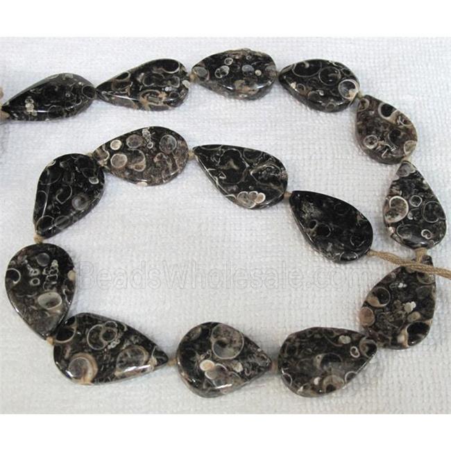 natural Ammonite Fossil beads, teardrop
