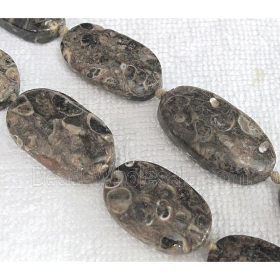 natural Ammonite Fossil beads, flat oval