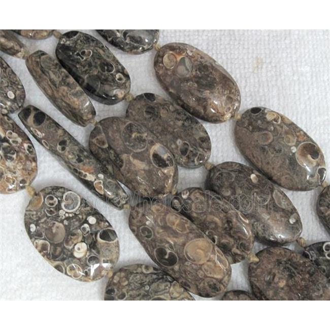 natural Ammonite Fossil beads, flat oval