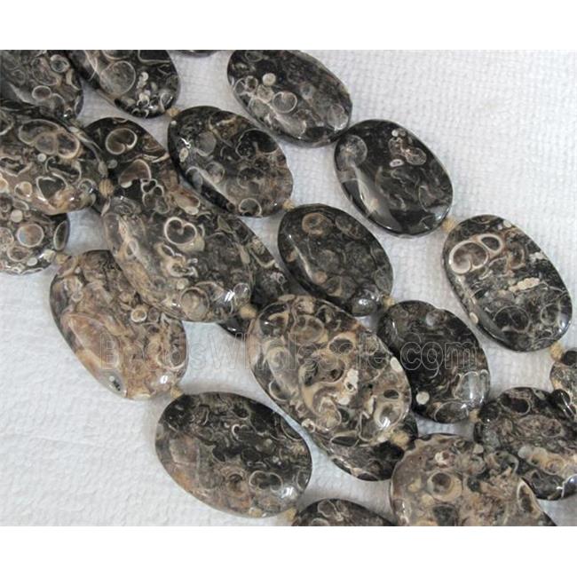 natural Ammonite Fossil beads, oval
