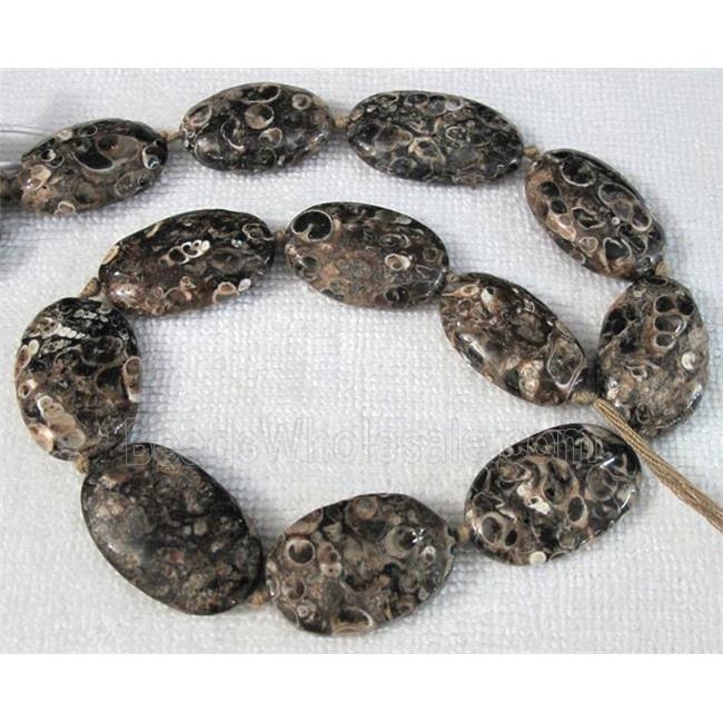natural Ammonite Fossil beads, oval