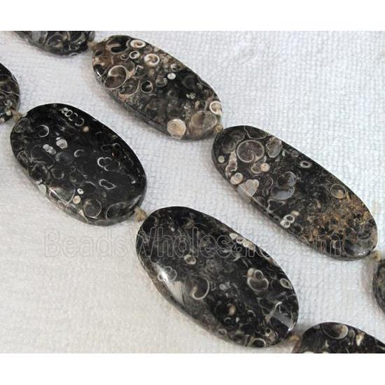 natural Ammonite Fossil beads, flat oval