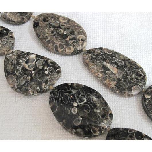 natural Ammonite Fossil beads, freeform