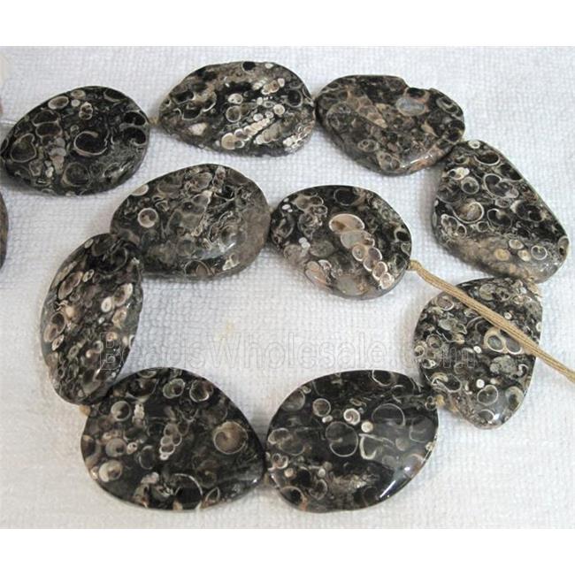 natural Ammonite Fossil beads, freeform