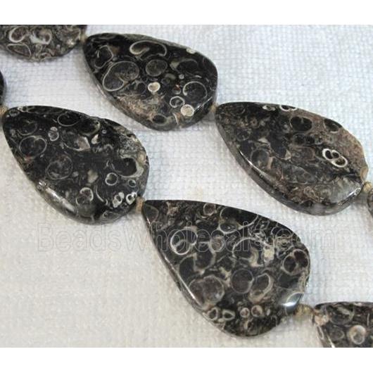 natural Ammonite Fossil beads, teardrop