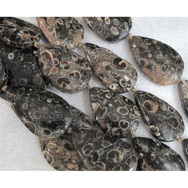 natural Ammonite Fossil beads, teardrop