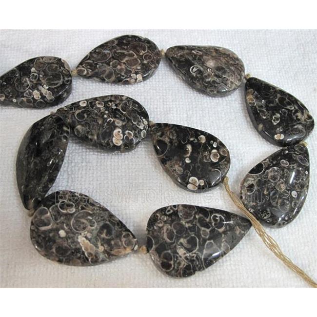 natural Ammonite Fossil beads, teardrop
