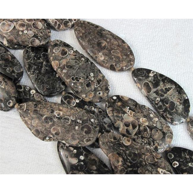 natural Ammonite Fossil beads, freeform