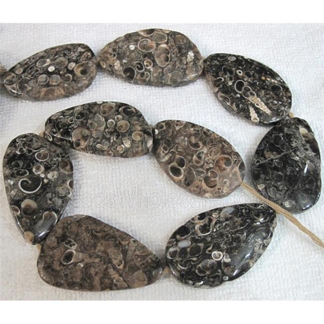 natural Ammonite Fossil beads, freeform
